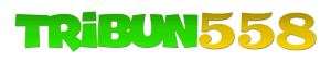 tribun558